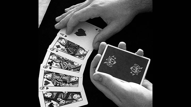 3318-haters-playing-cards-cartamundi-1.jpg