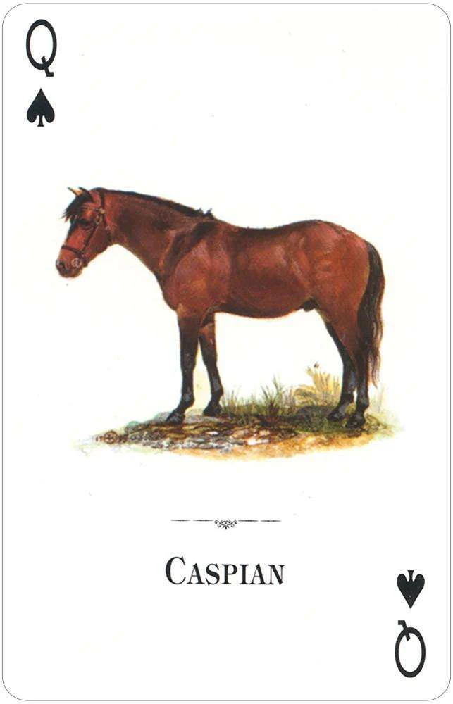 3438-horses-of-the-natural-world-playing-cards-usgs-1.jpg