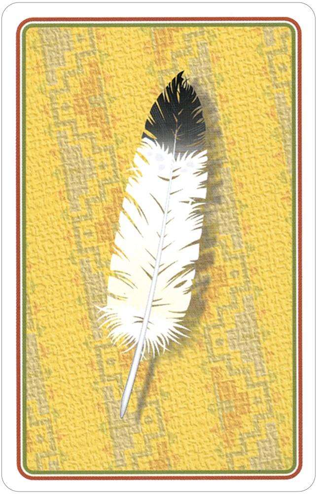 Indian Chiefs of the Old West Playing Cards USGS