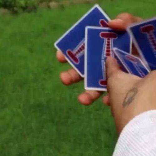 3688-jerry-nugget-cardistry-trainers-1.webp