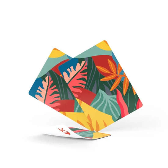 3761-jungle-birds-plastic-playing-cards-2-deck-set-1.jpg