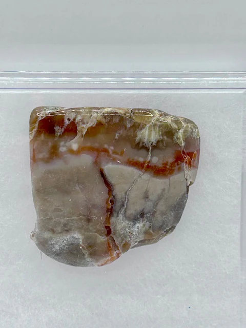Jurassic Coprolite â Fossilized Dinosaur Dung