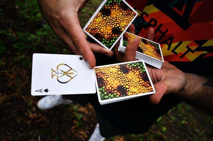 3775-kameleon-playing-cards-hcpc-1.jpg