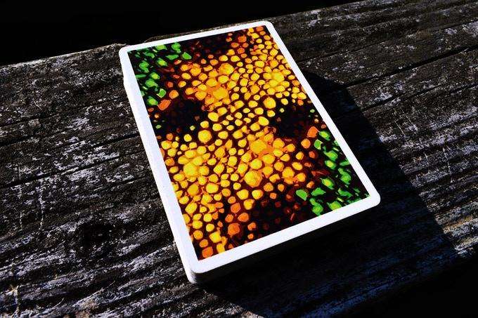 3775-kameleon-playing-cards-hcpc-1.jpg