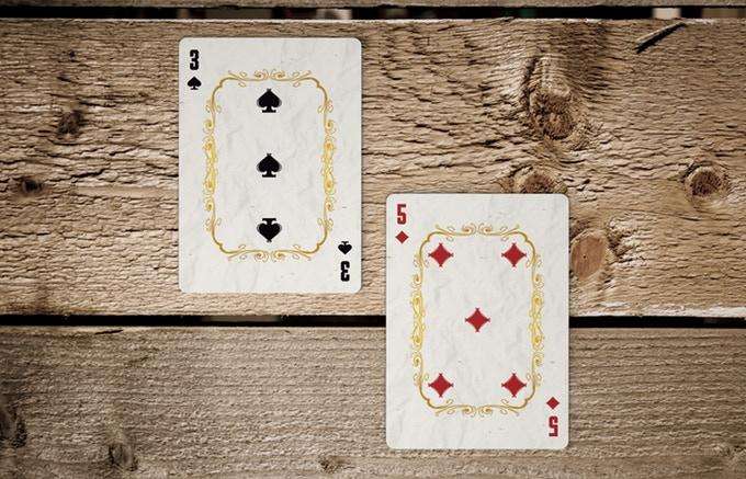 3903-la-catrina-playing-cards-2-deck-set-npcc-1.jpg