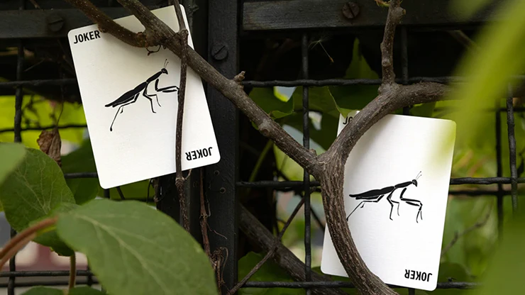 4306-mantis-playing-cards-marked-1.webp