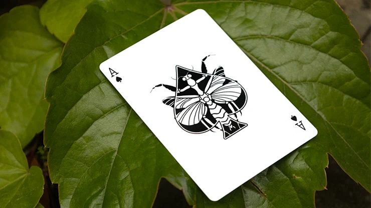 4306-mantis-playing-cards-marked-1.webp