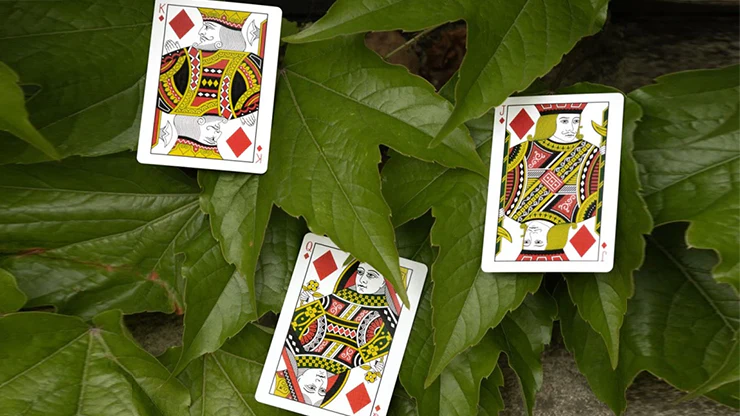 4306-mantis-playing-cards-marked-1.webp