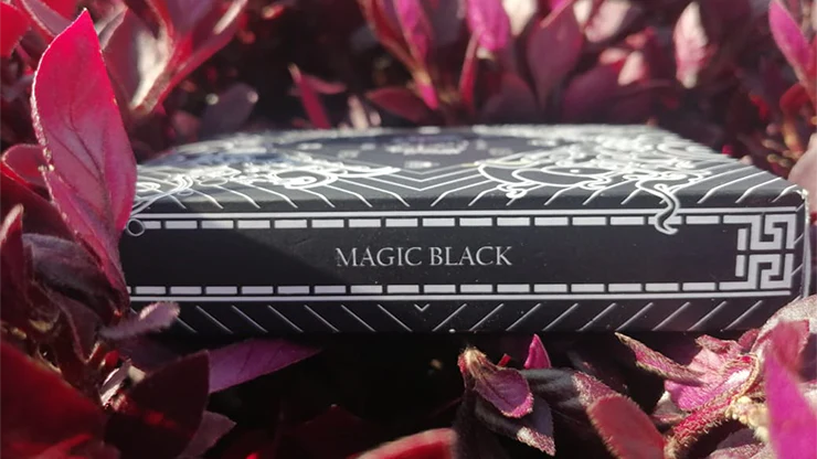 4401-maya-magic-black-playing-cards-1.jpg