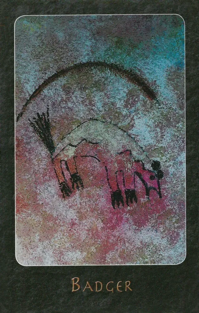 441-a-shaman-oracle-40-mythical-soul-images-from-the-indian-southwest-1.webp