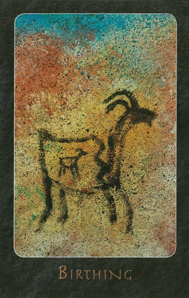 441-a-shaman-oracle-40-mythical-soul-images-from-the-indian-southwest-1.webp