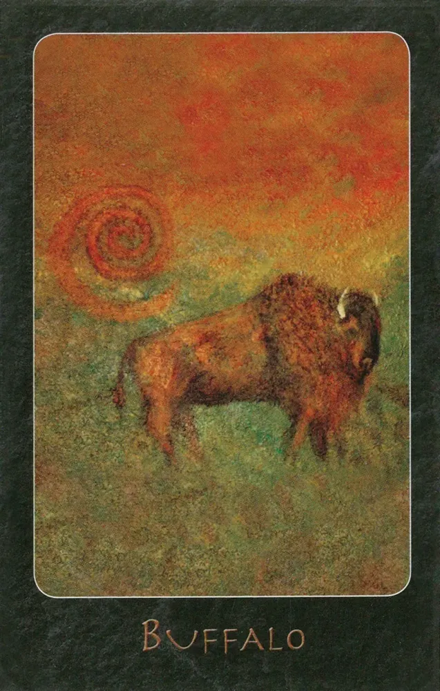 441-a-shaman-oracle-40-mythical-soul-images-from-the-indian-southwest-1.webp