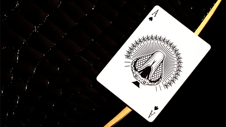 4435-medusa-marked-playing-cards-cartamundi-1.jpg