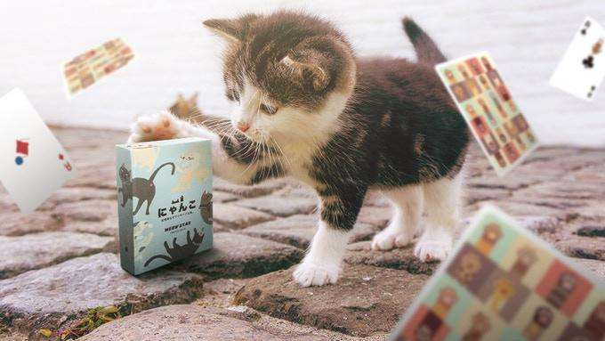 4450-meow-star-cat-playing-cards-uspcc-1.jpg