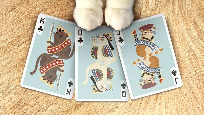 4450-meow-star-cat-playing-cards-uspcc-1.jpg