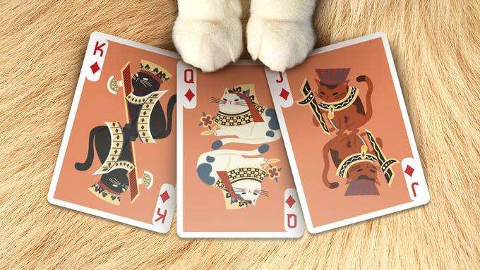 4450-meow-star-cat-playing-cards-uspcc-1.jpg