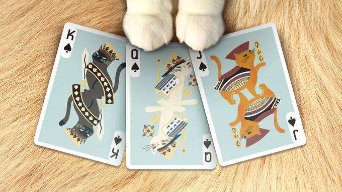 4450-meow-star-cat-playing-cards-uspcc-1.jpg