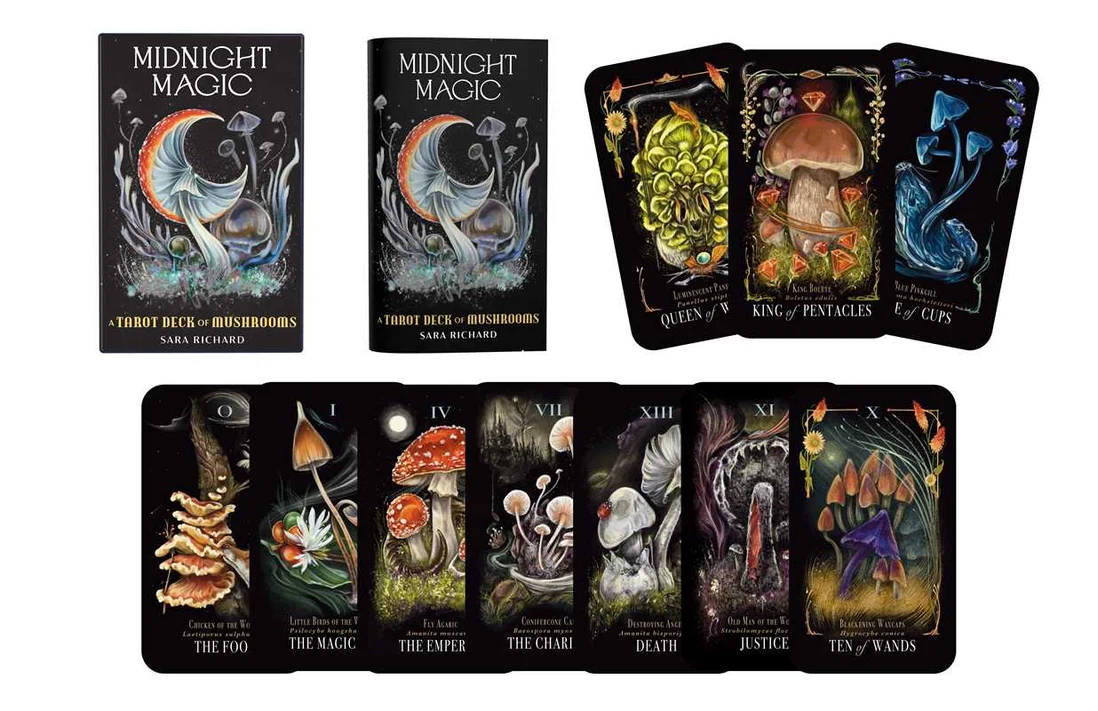 4493-midnight-magic-by-sara-richard-1.webp