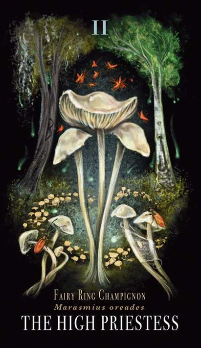 4493-midnight-magic-by-sara-richard-1.webp
