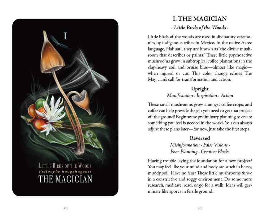 4493-midnight-magic-by-sara-richard-1.webp