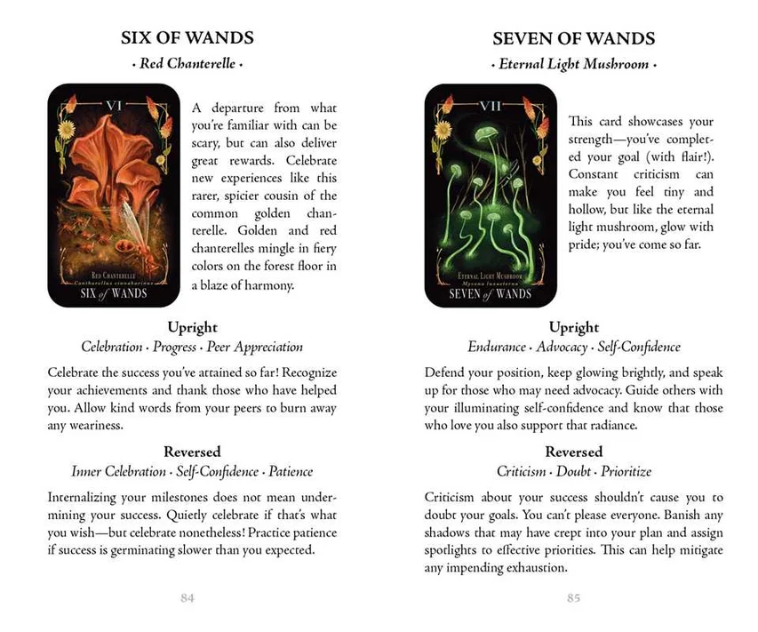 4493-midnight-magic-by-sara-richard-1.webp