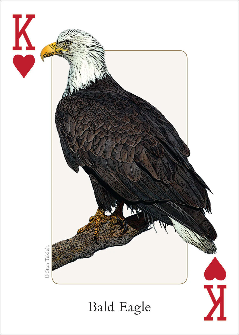 4498-midwest-birds-playing-cards-1.jpg