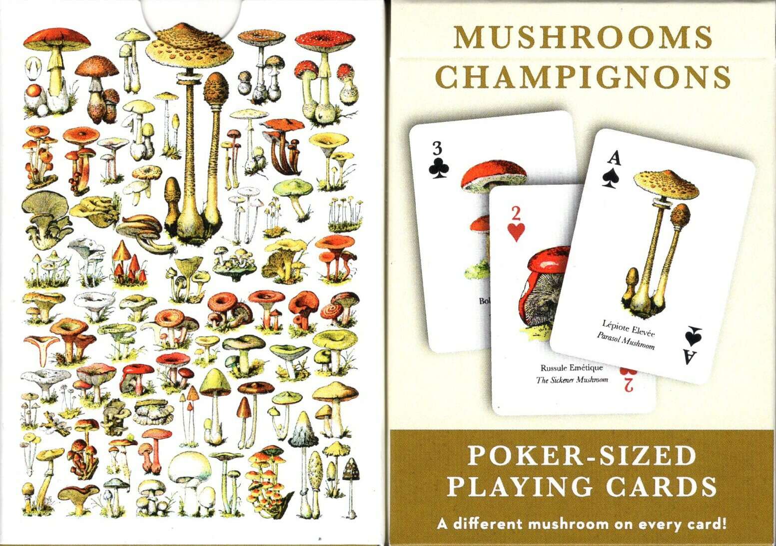 Mushroom Playing Cards NYPC 1 4697-mushroom-playing-cards-nypc-1.jpg