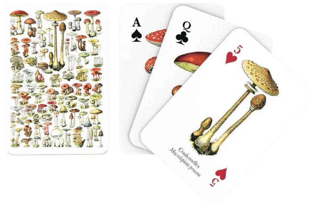 4697-mushroom-playing-cards-nypc-1.jpg