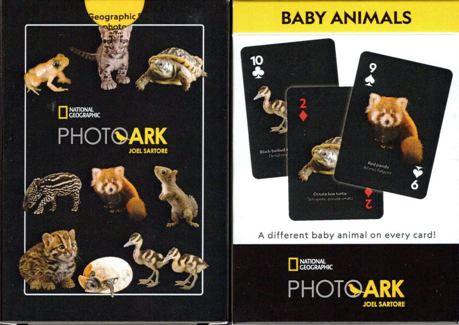 National Baby Animals Playing Cards NYPC