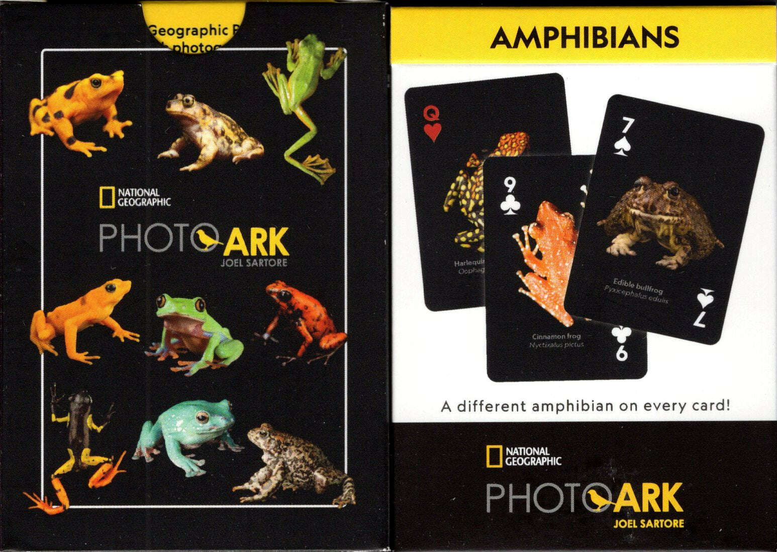 National Geographic Amphibians Playing Cards NYPC 1 4753-national-geographic-amphibians-playing-cards-nypc-1.jpg