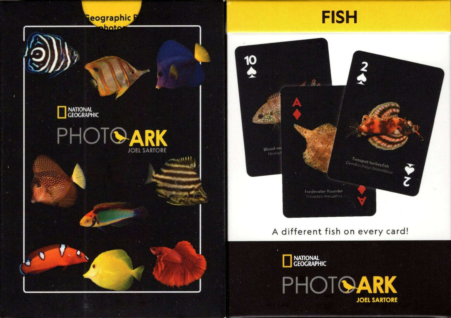 National Geographic Fish Playing Cards NYPC 1 4755-national-geographic-fish-playing-cards-nypc-1.jpg