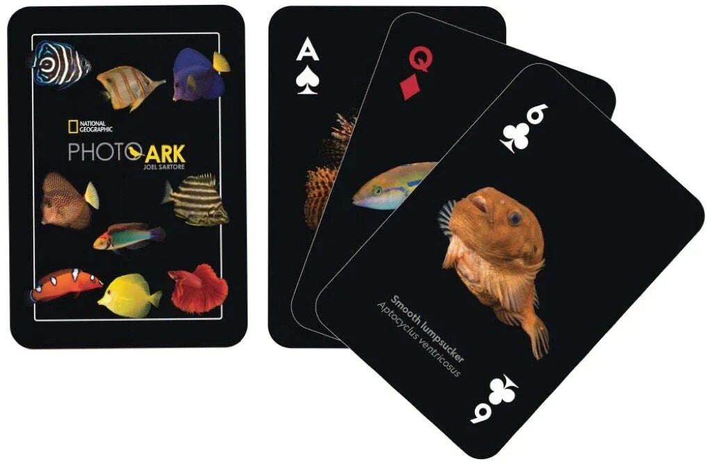 4755-national-geographic-fish-playing-cards-nypc-1.jpg