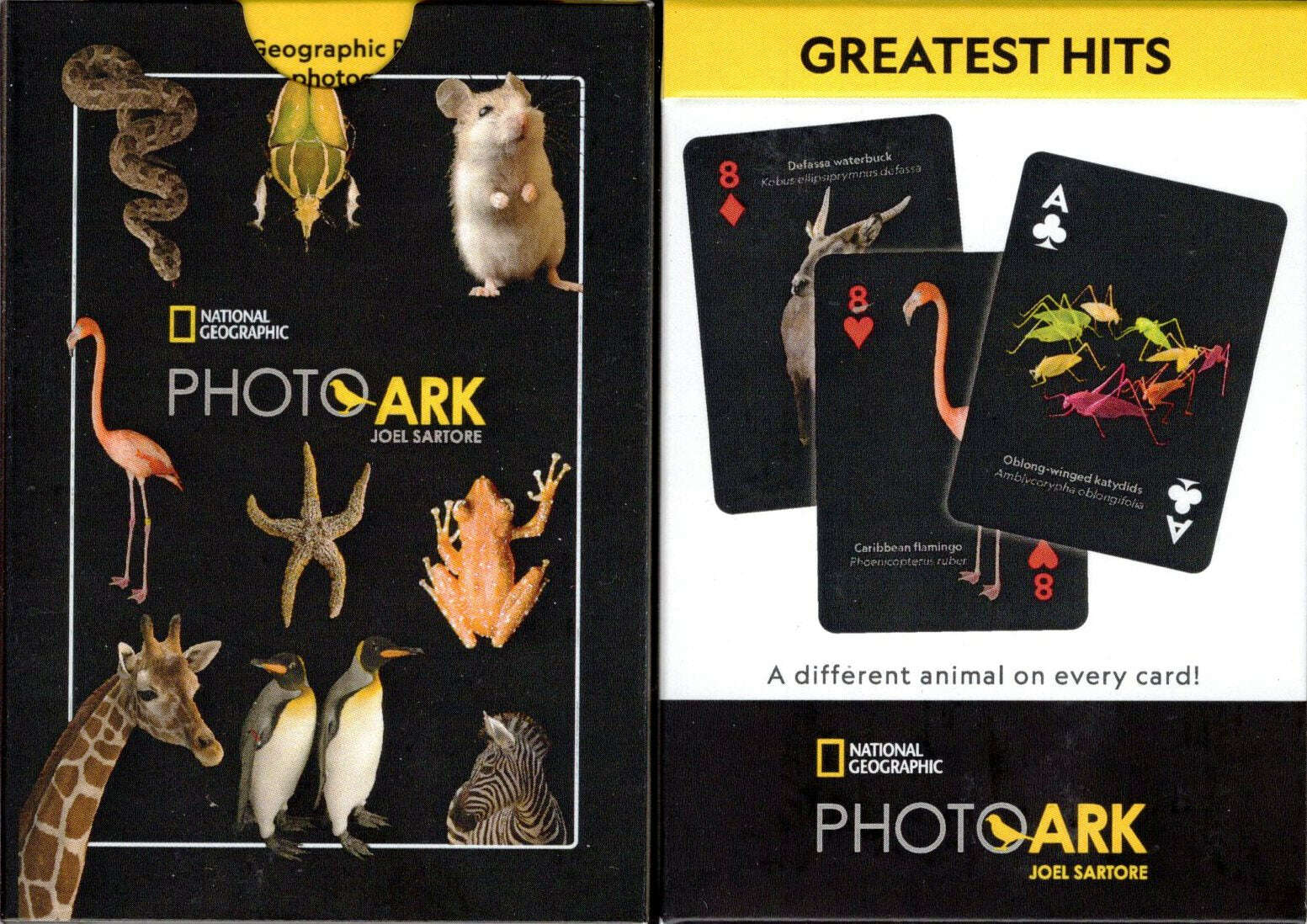 National Geographic Greatest Hits Playing Cards NYPC