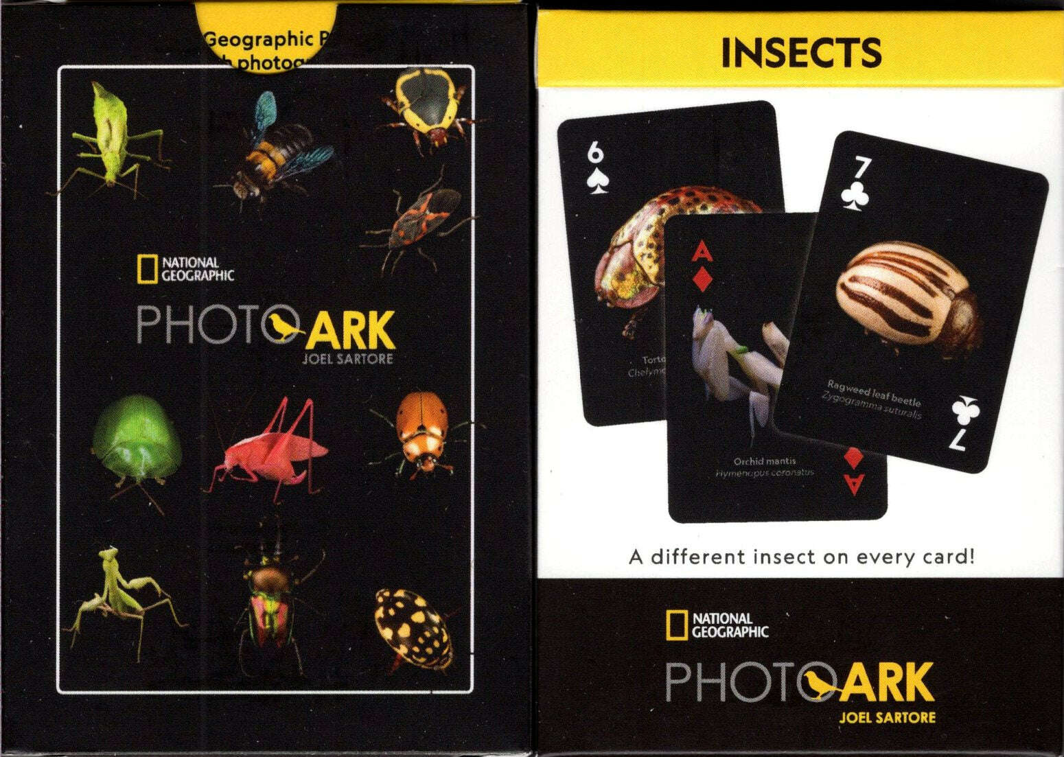 National Geographic Insects Playing Cards NYPC