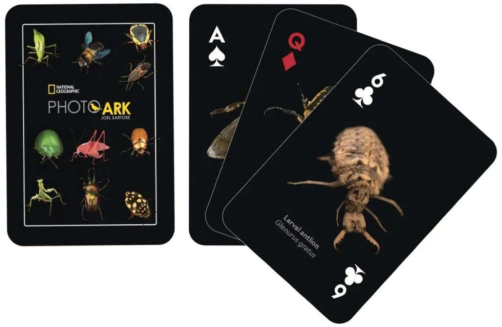 4757-national-geographic-insects-playing-cards-nypc-1.jpg
