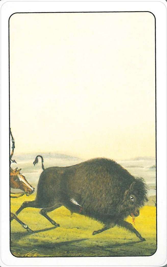 4774-native-american-playing-cards-usgs-1.jpg
