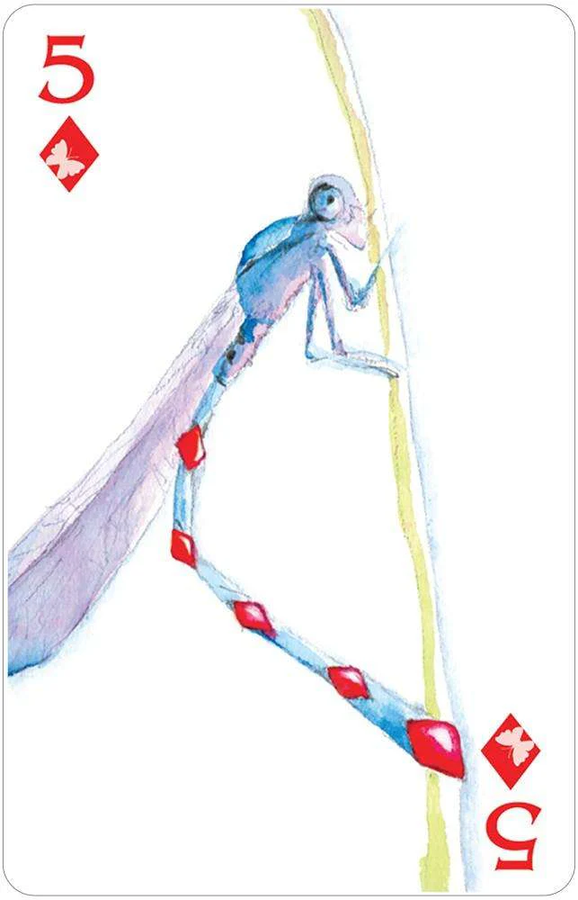 4776-natural-symphony-semi-transformation-playing-cards-usgs-1.jpg