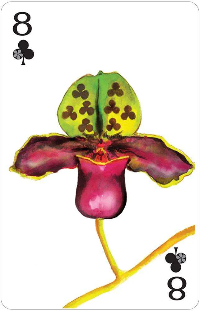 4776-natural-symphony-semi-transformation-playing-cards-usgs-1.jpg