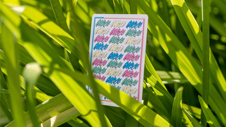 479-aedijux-playing-cards-uspcc-1.jpg