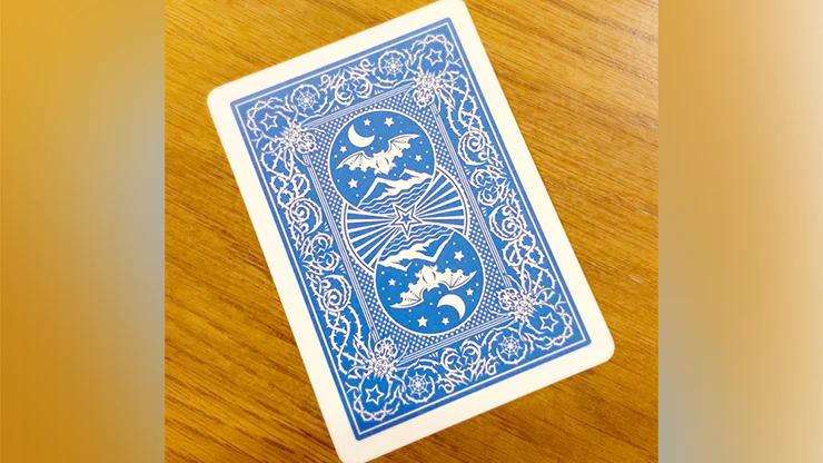 4853-night-flight-marked-plastic-playing-cards-1.jpg