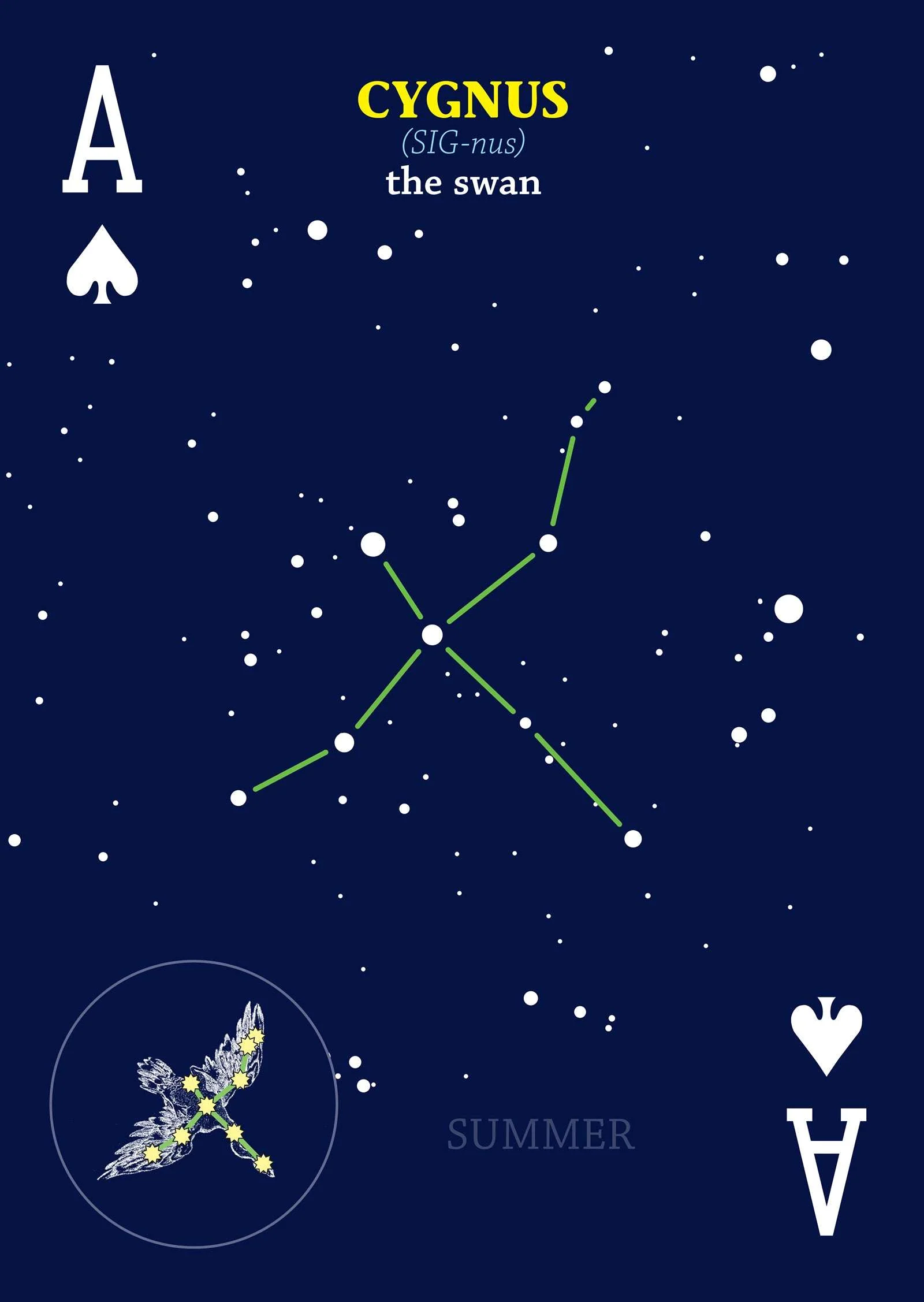 4857-night-sky-playing-cards-1.jpg