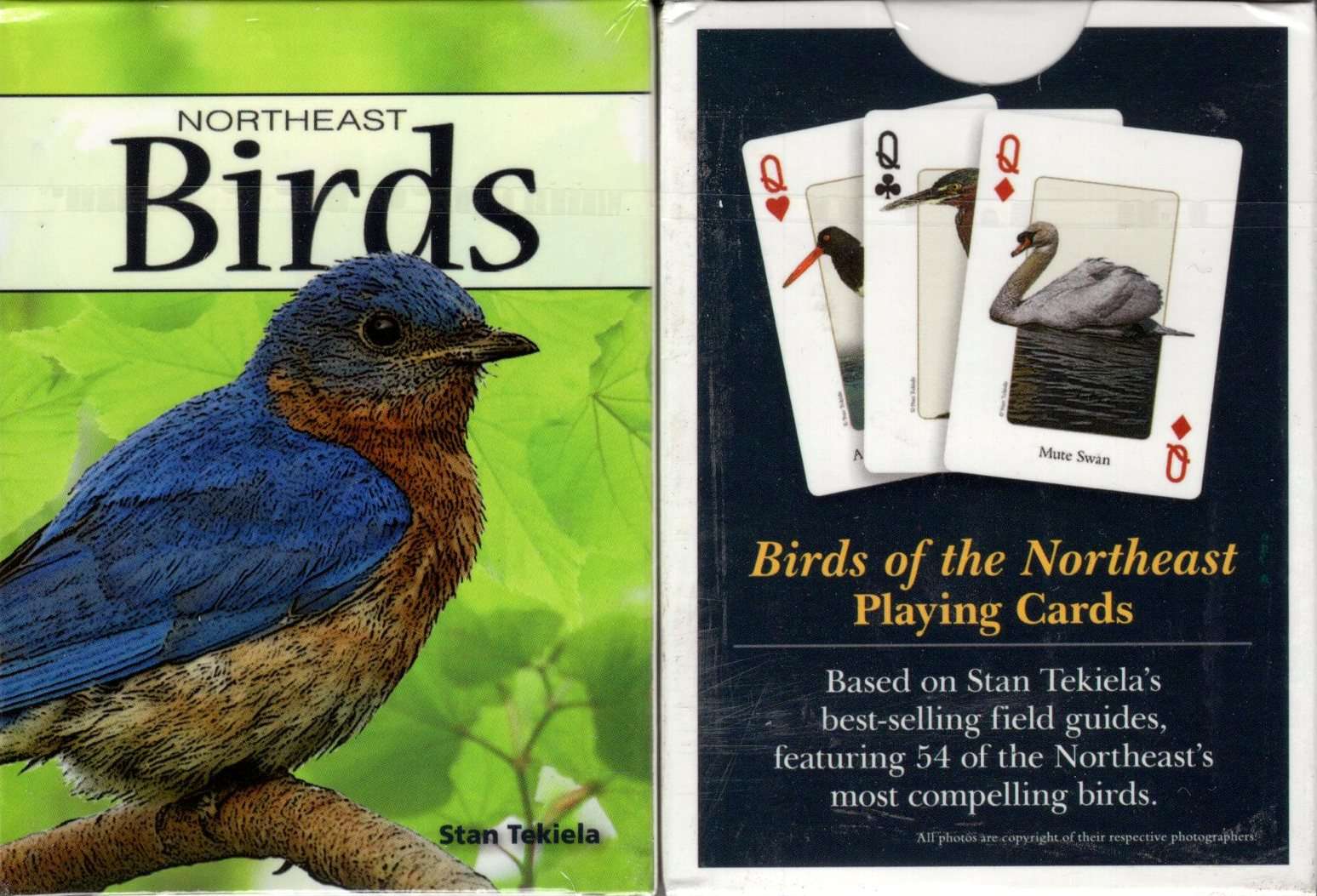 4938-northeast-birds-playing-cards-1.jpg
