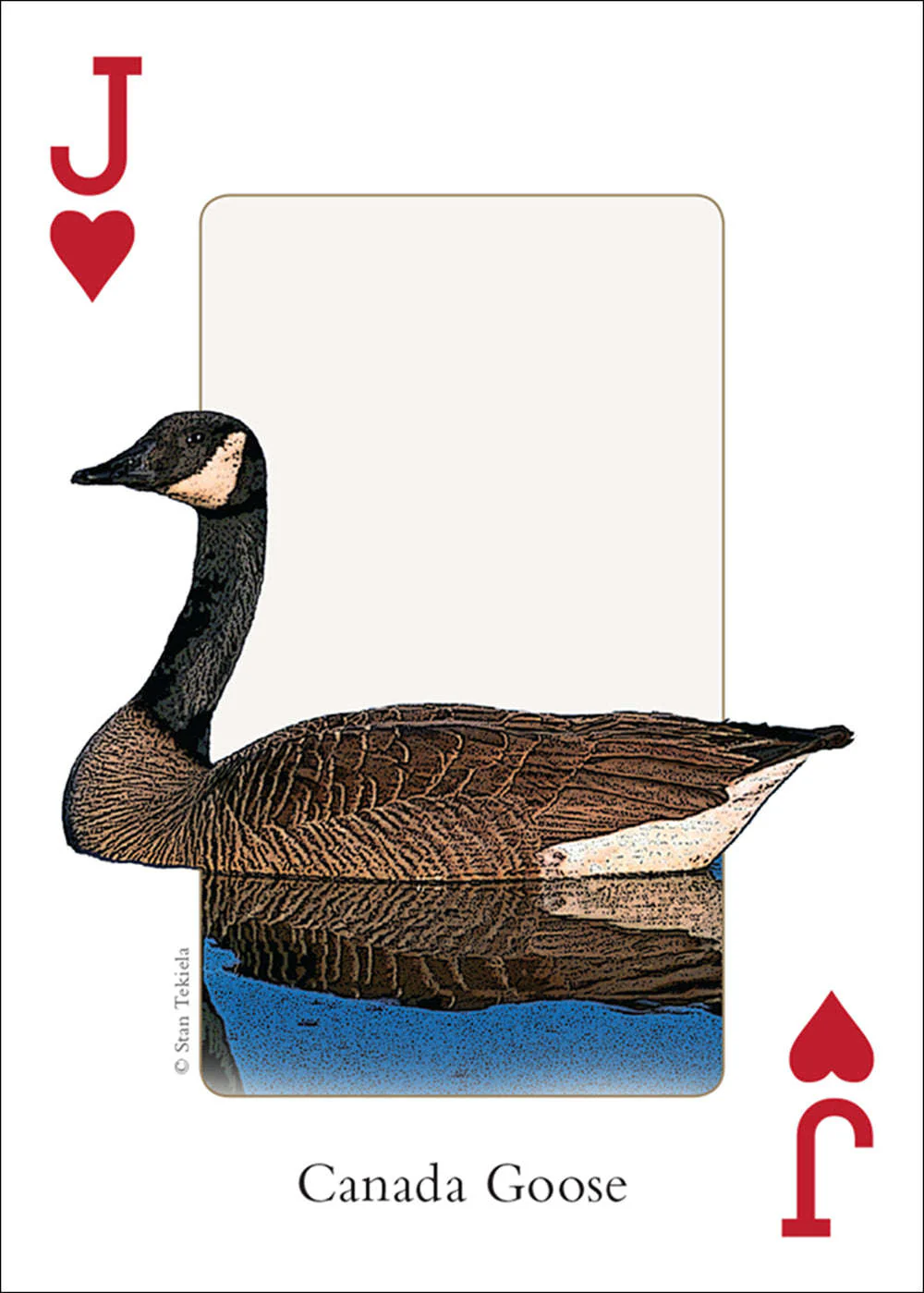 4938-northeast-birds-playing-cards-1.jpg