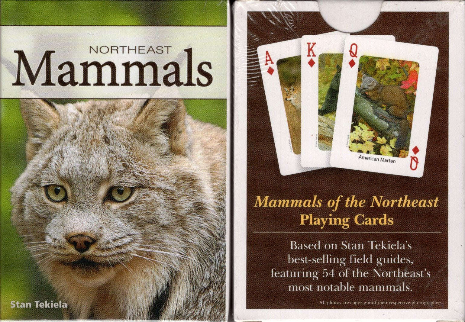 Northeast Mammals Playing Cards