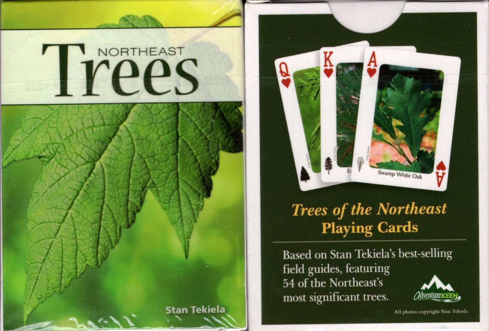 4940-northeast-trees-playing-cards-1.jpg