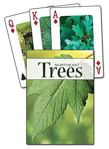 4940-northeast-trees-playing-cards-1.jpg