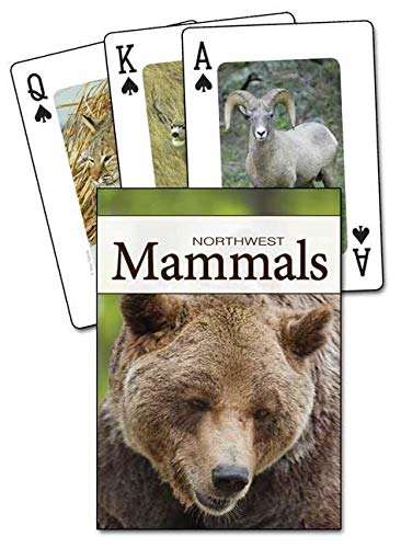 4945-northwest-mammals-playing-cards-1.jpg