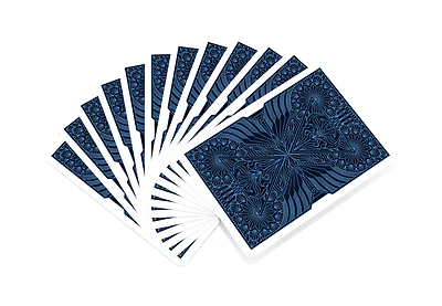 4973-nyx-bicycle-playing-cards-1.jpg