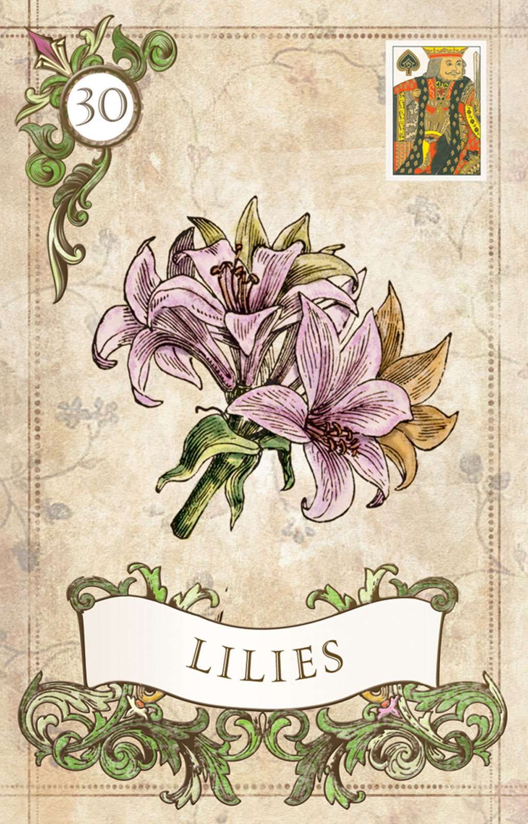 5038-old-style-lenormand-fortune-telling-cards-usgs-1.jpg