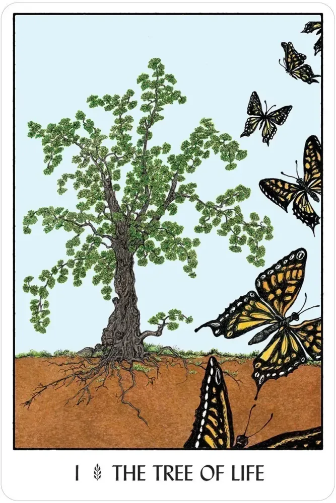 5109-oracle-of-the-trees-1.webp